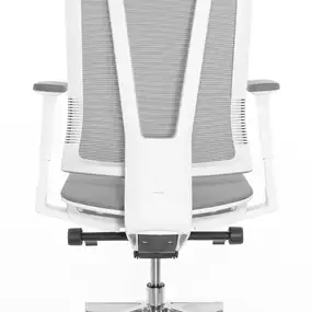 Эргономичное кресло Falto G1 Air (3 уровня поясницы, сетка, каркас белый, серый)
