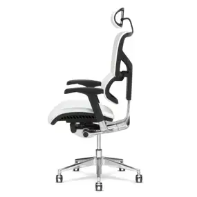 Ортопедическое кресло Falto Leather Premium SL (динамичный поясничный упор, натуральная кожа, чёрный каркас, белый)