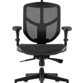 Эргономичное кресло Falto Enjoy 2 Basic (сетка, чёрный)