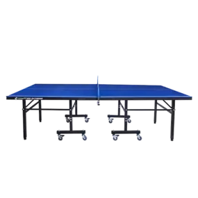 Теннисный стол Scholle T700 (всепогодный)