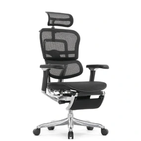 Эргономичное кресло Falto Ergohuman 2 Luxury с подножкой (SmartWork, алюминий, наклон вперёд, сетка, чёрный)