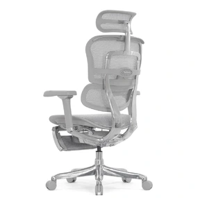 Эргономичное кресло Falto Ergohuman 2 Luxury с подножкой (SmartWork, алюминий, наклон вперёд, сетка, серый)