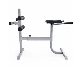 Гиперэкстензия/Римский стул DFC CAP, серебряный